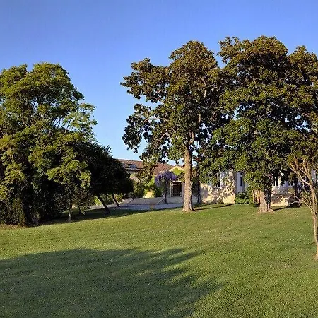 Chateau Ormes De Pez Saint-Estèphe