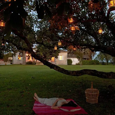 Bed & Breakfast Chateau Ormes De Pez 3*